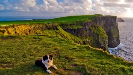 irlandia-wyspa-piekna-i-intrygujaca
